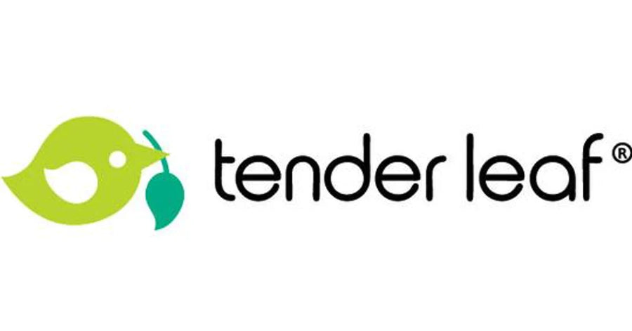 Tender Leaf Toys