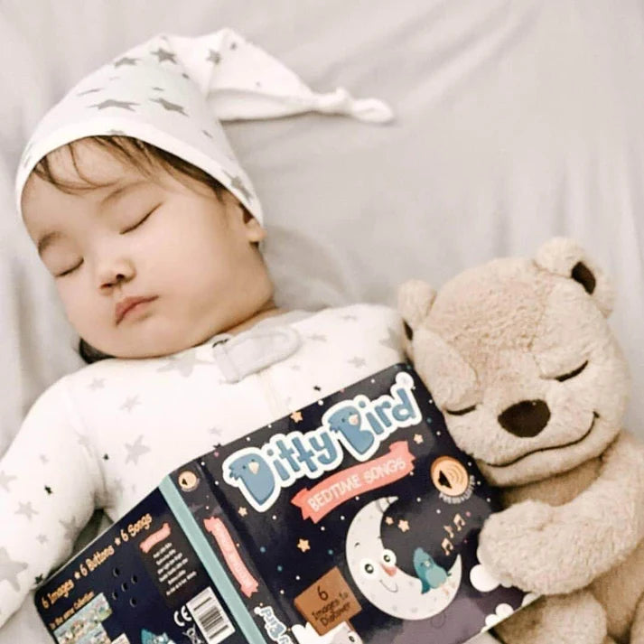 Ditty bird | bedtime songs