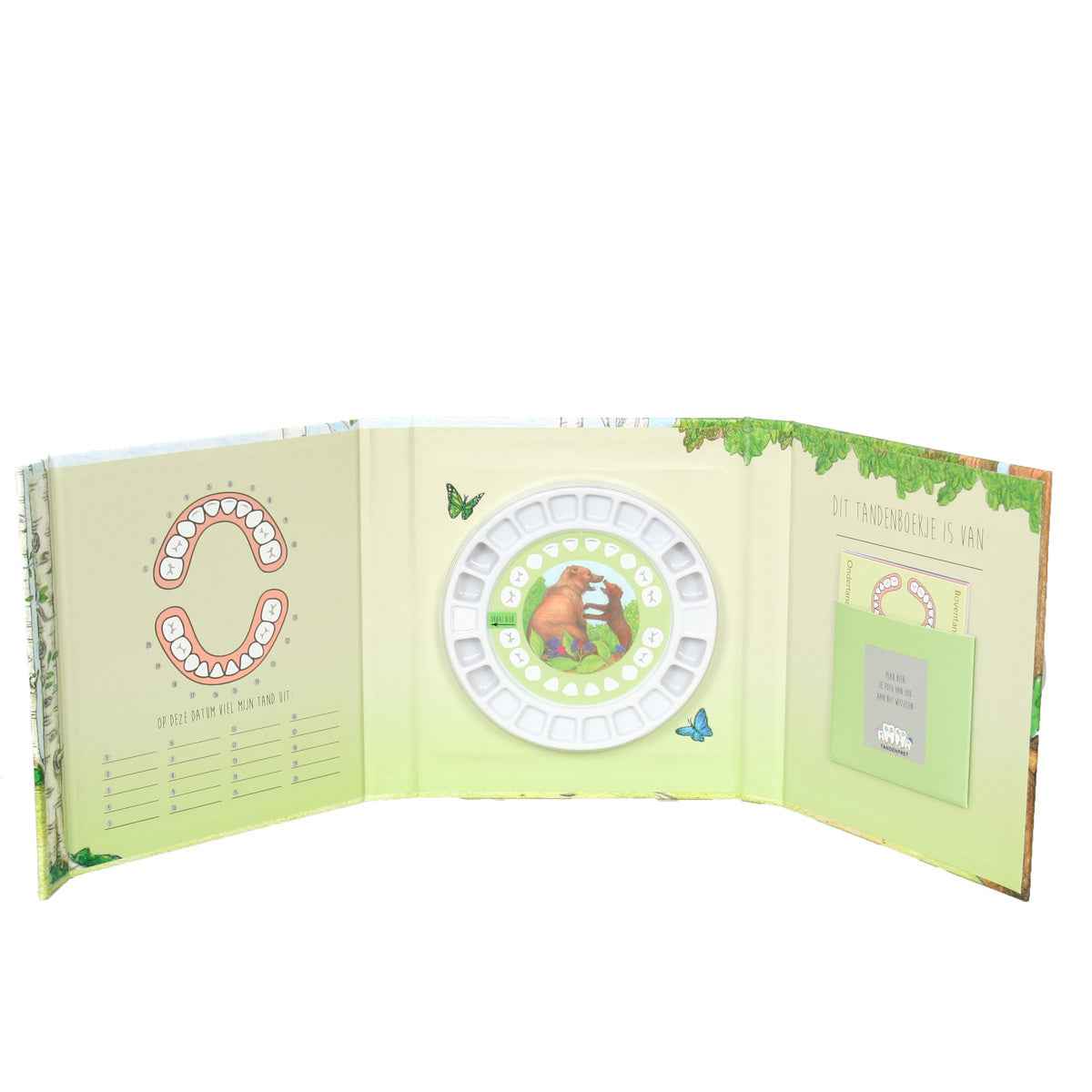 Tooth Fun | Forest Friends Tooth Book