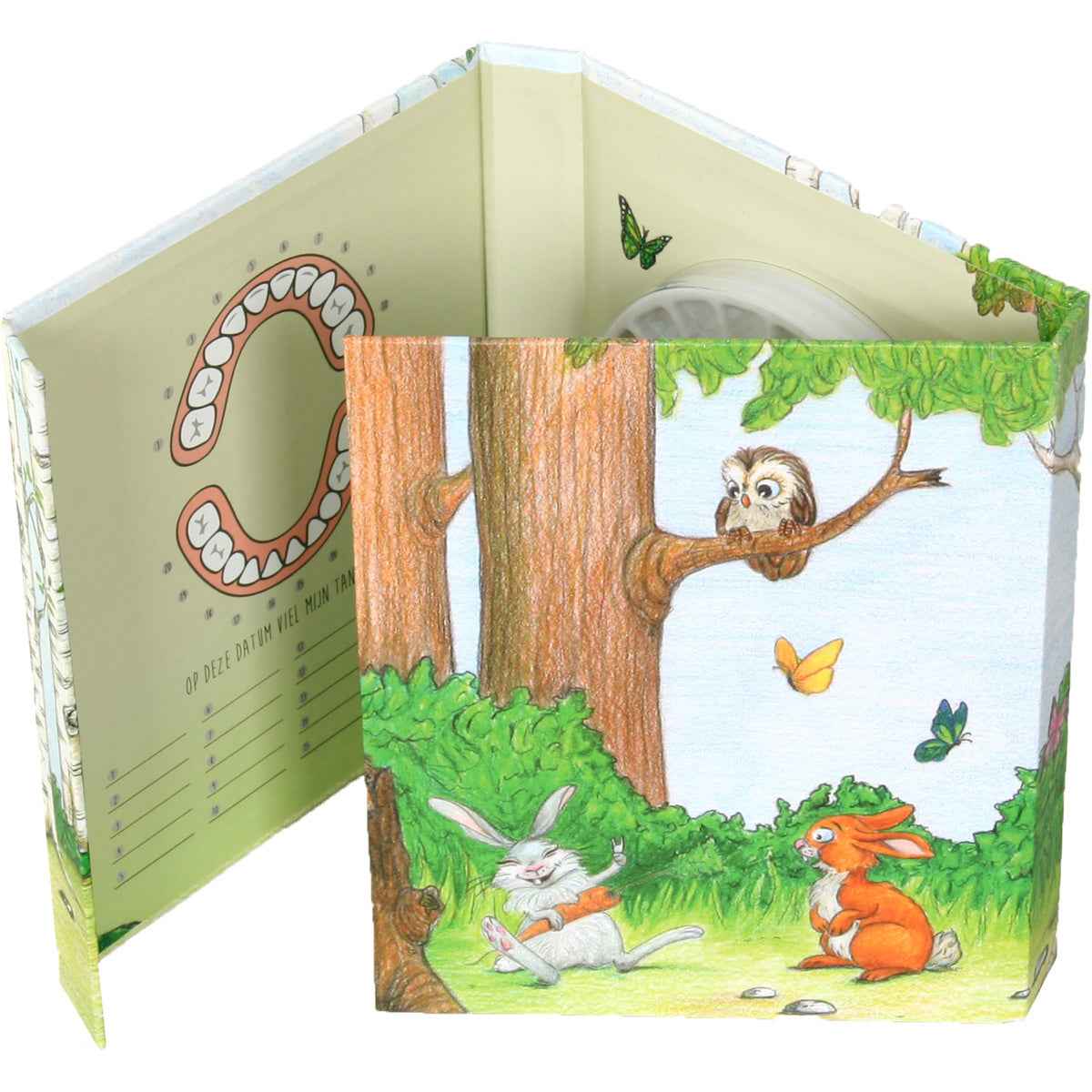 Tooth Fun | Forest Friends Tooth Book