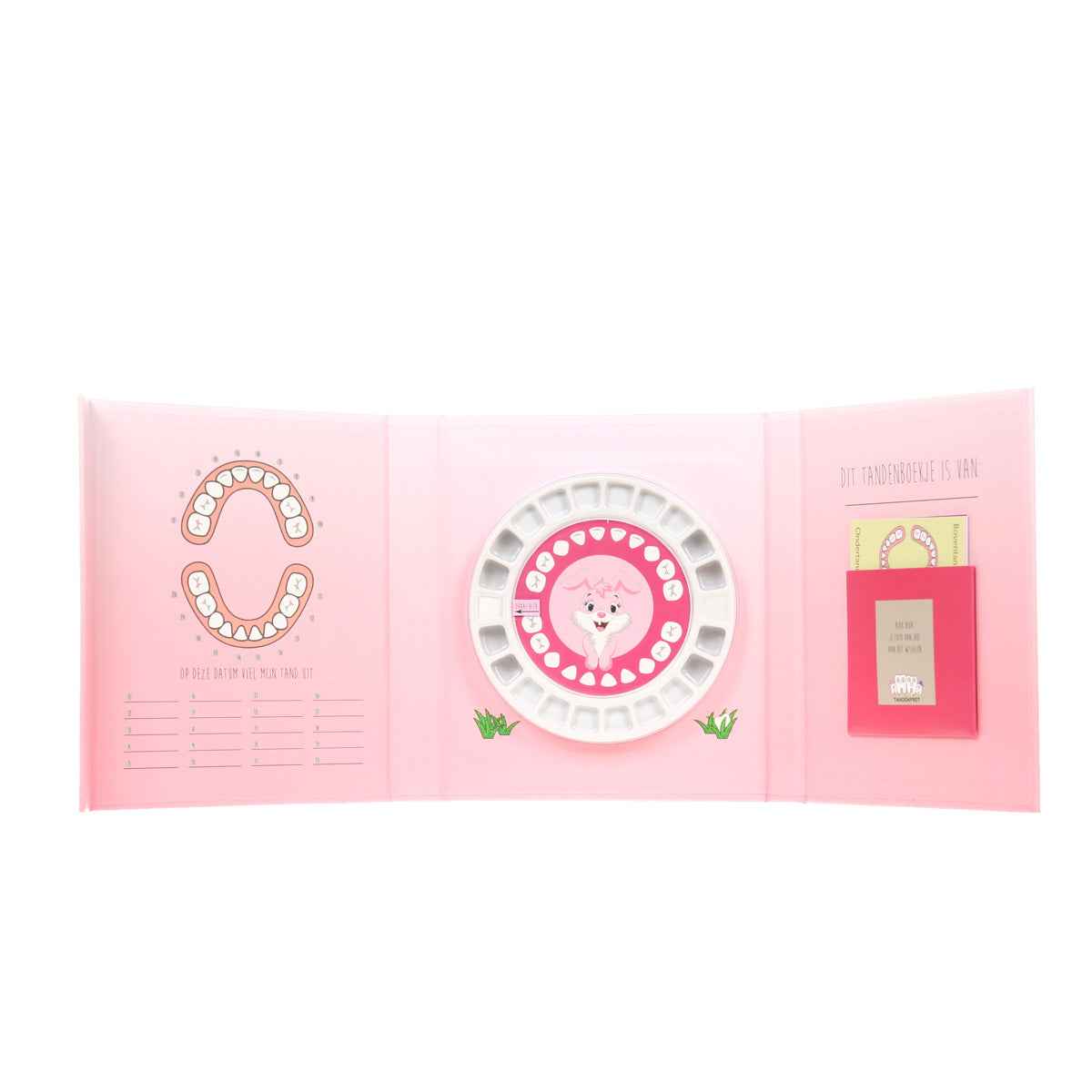 Tooth Fun | Stampertje Tooth Book