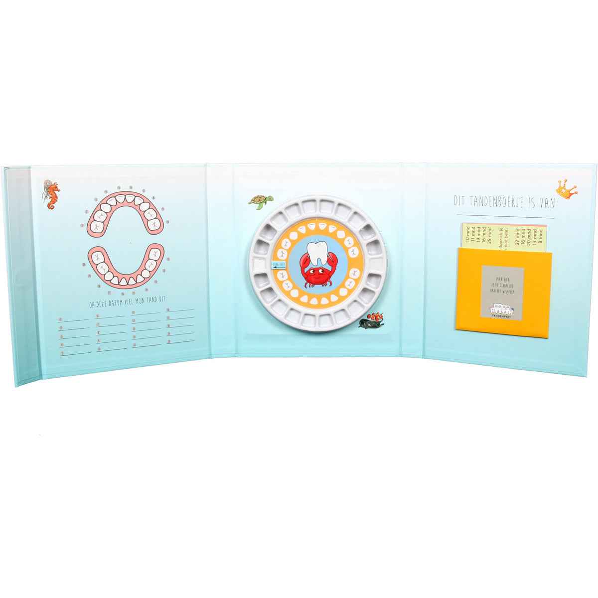 Tooth Fairy Fun | Neptune's Little Tooth Book