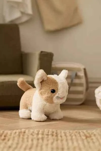 Kid's Concept | Kid's Hub Cat and Carry Bag