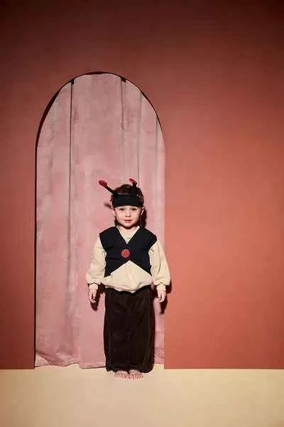 Kid's Concept | Dress-Up Verkleden Lieveheersbeestje