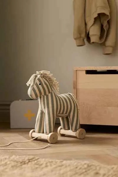 Kid's Concept | Aiden Trekpaard Sam