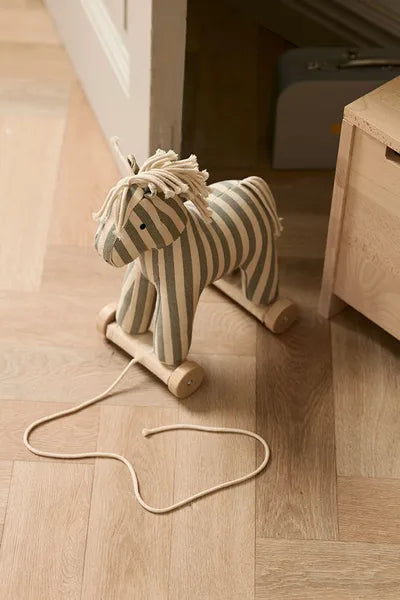 Kid's Concept | Aiden Trekpaard Sam