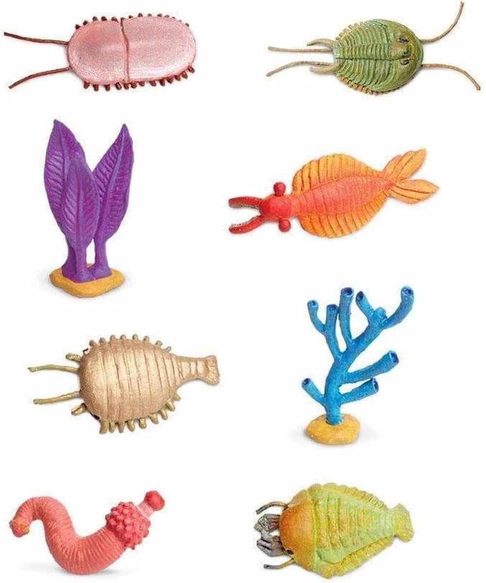 Safari Ltd. | Speelfiguren Cambrium Leven