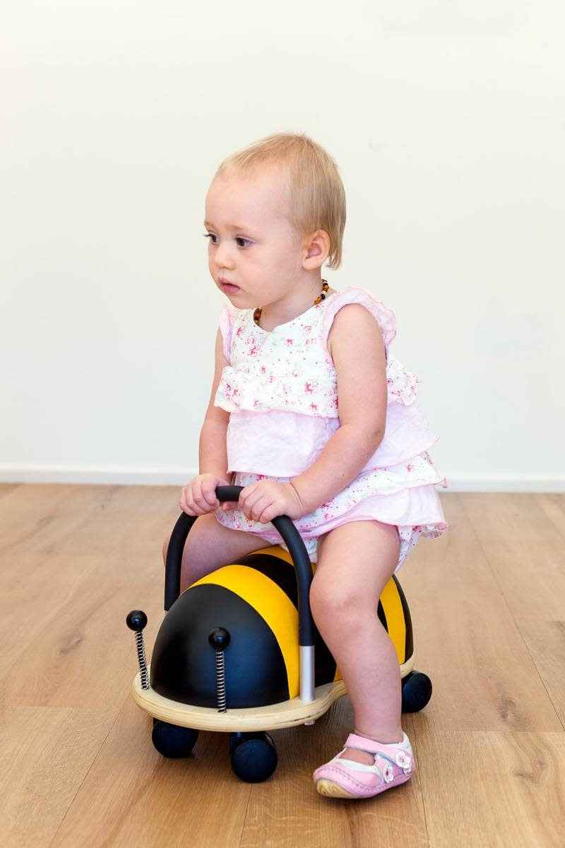 Walk-along buggy by Wheely Bug