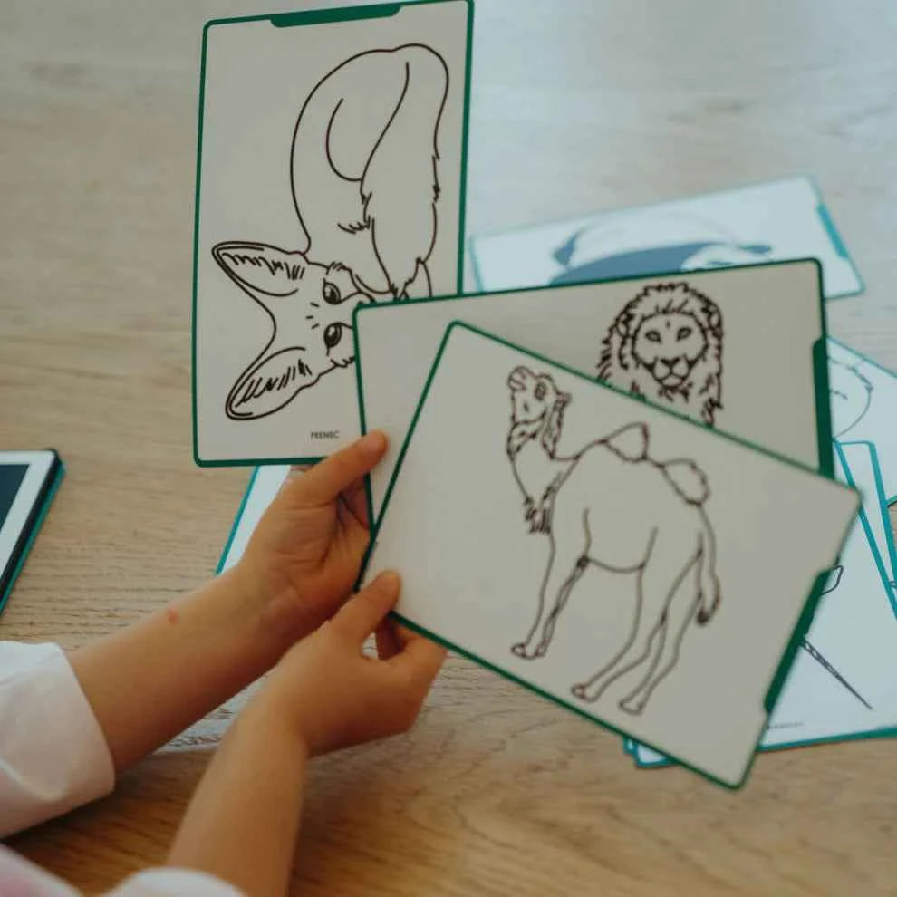 Kidywolf | Refill Kidydraw - Mini  Extra kaarten Met Het Thema Dieren Van Over De Hele Wereld En Oceanen & Piraten