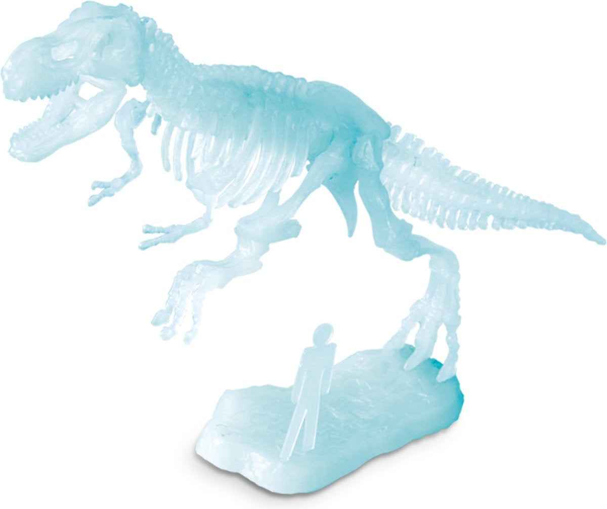 Kosmos | Glow in the Dark T-Rex