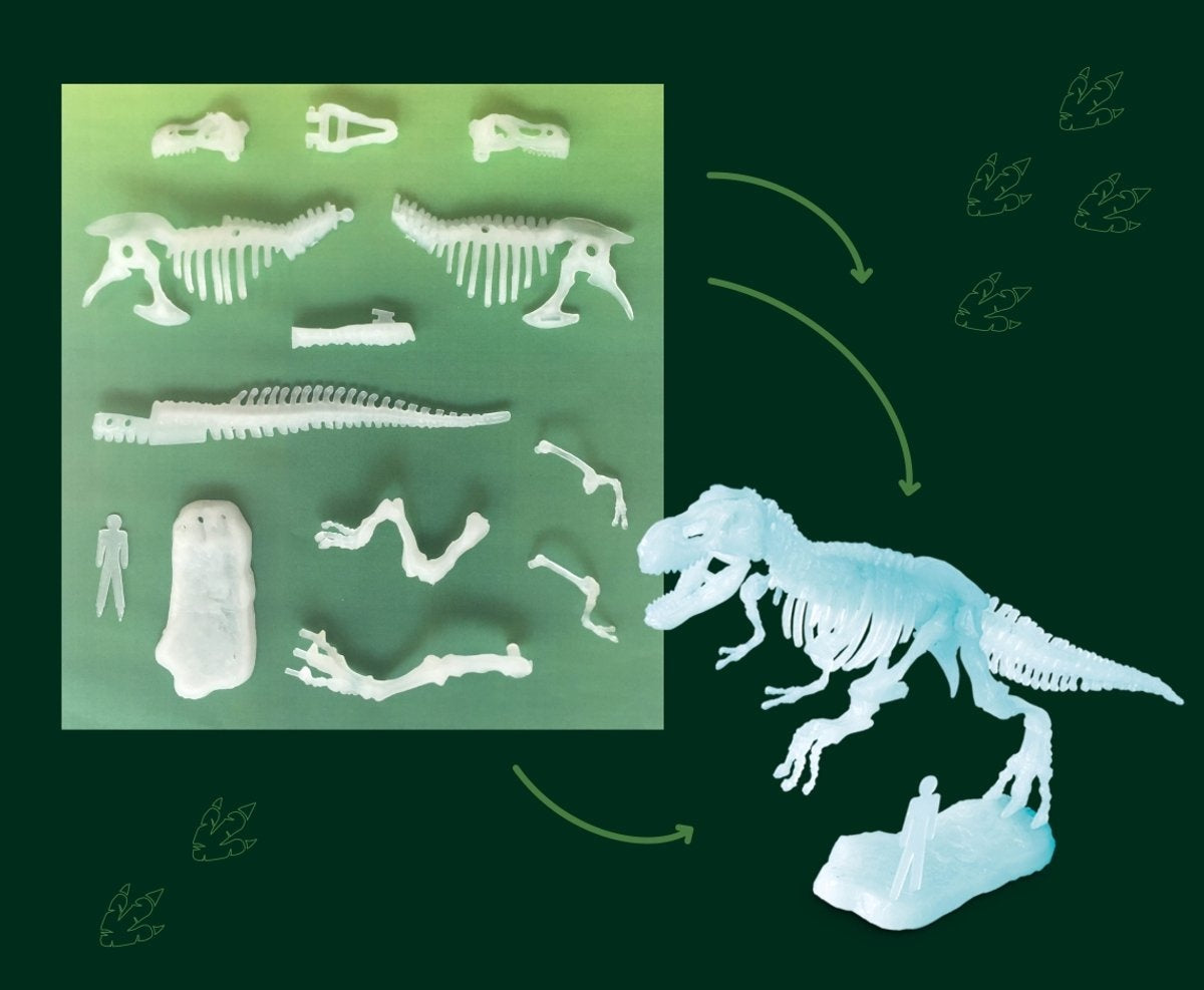 Kosmos | Glow in the Dark T-Rex