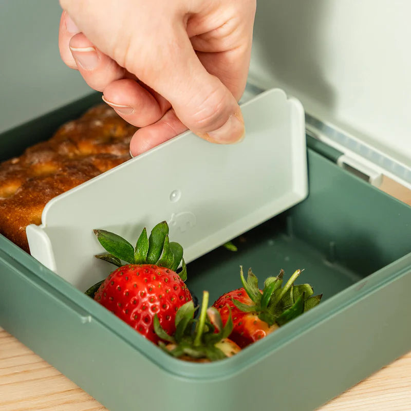 Done by Deer | lunchbox Tiny Trails Green