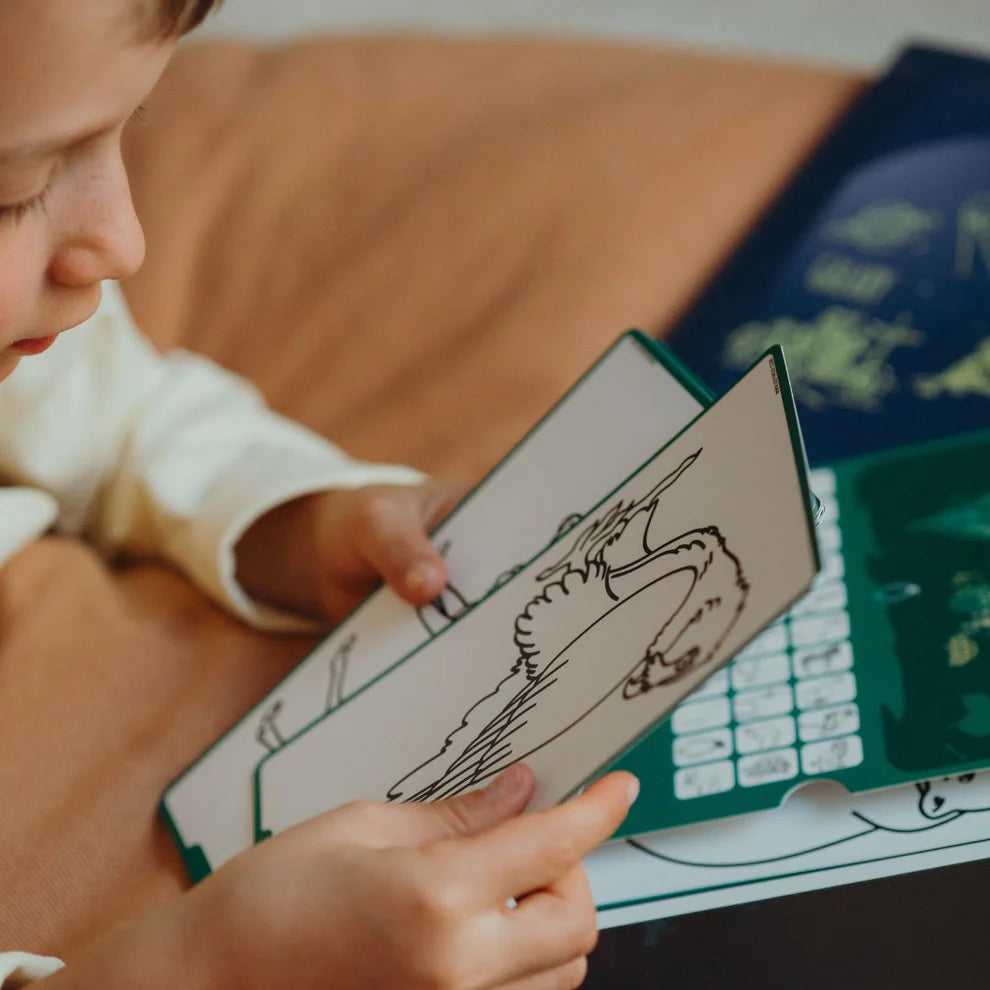 Kidywolf | Refill Kidydraw - Mini  Extra kaarten Met Het Thema Dieren Van Over De Hele Wereld En Oceanen & Piraten