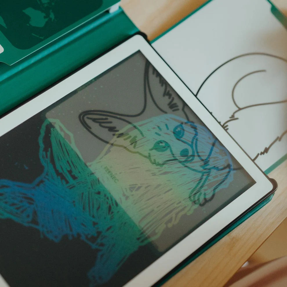 Kidywolf | Refill Kidydraw - Mini  Extra kaarten Met Het Thema Dieren Van Over De Hele Wereld En Oceanen & Piraten