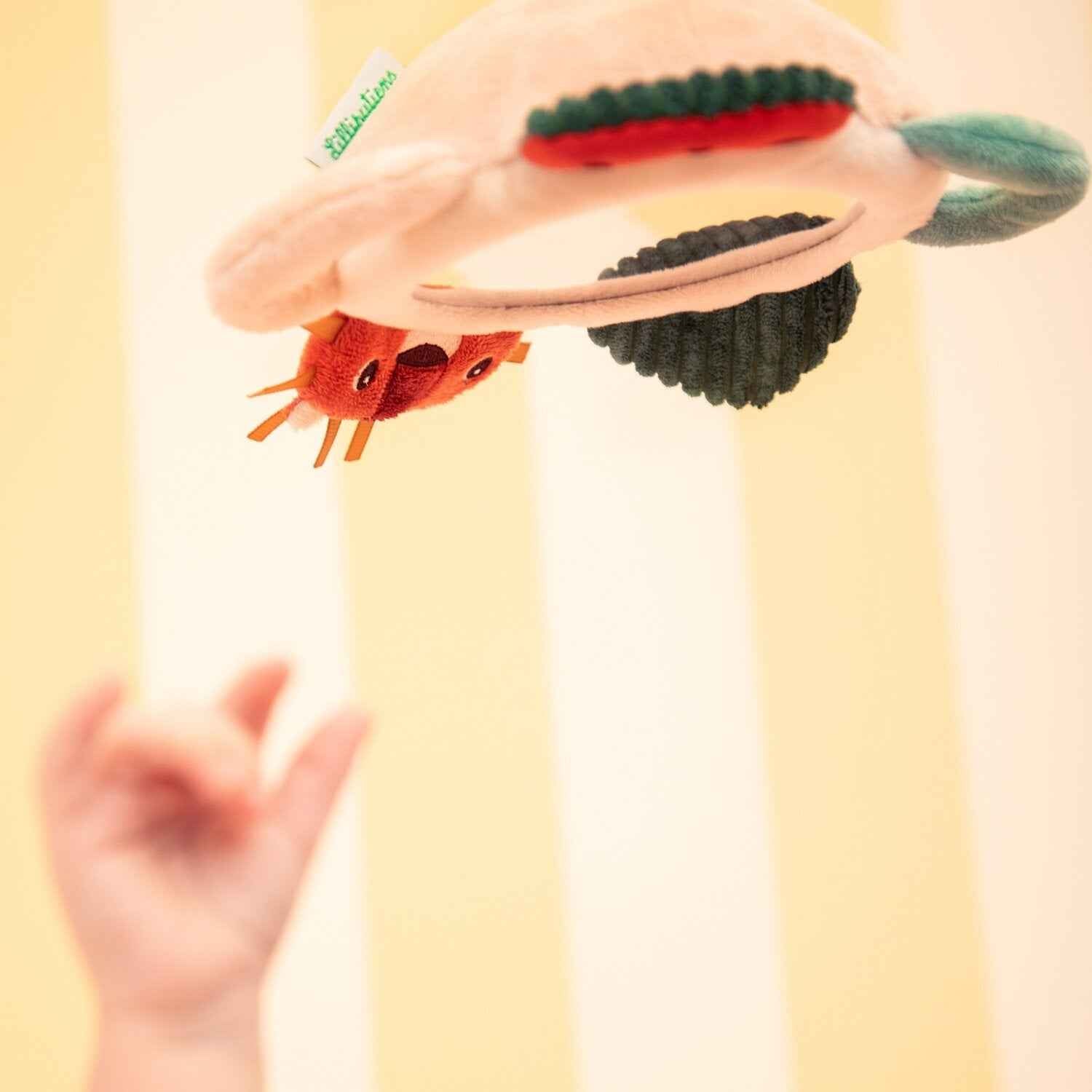 Lilliputiens | Jack Spiegel