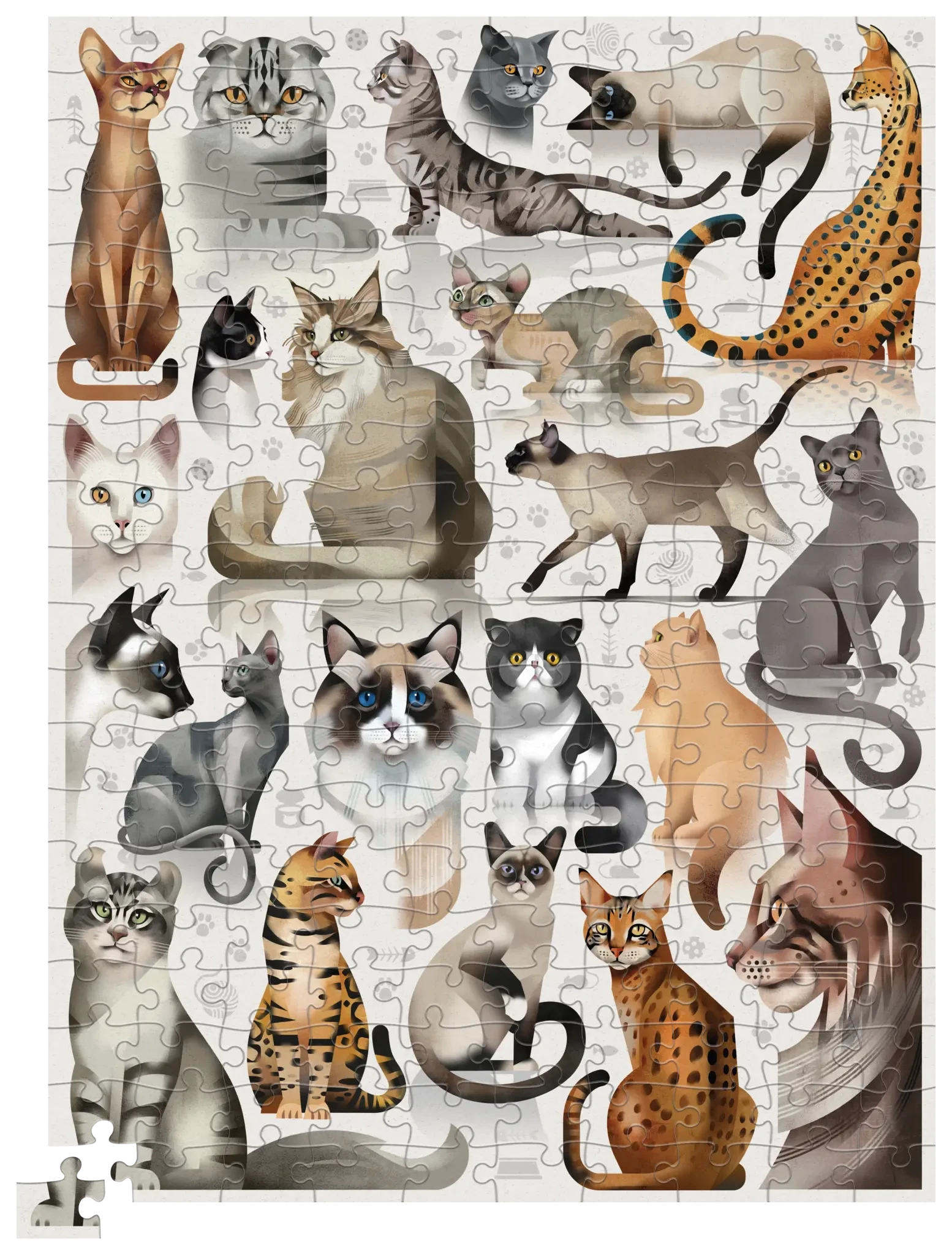Crocodile Creek | Puzzel Katten 200 Stuks