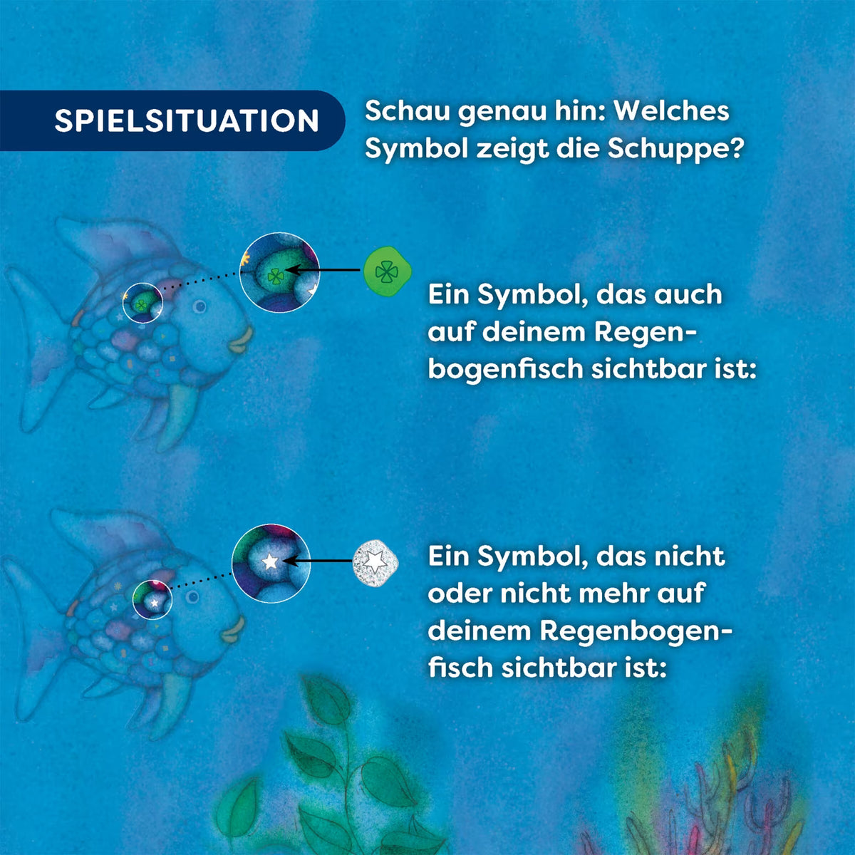 Haba | glinsterbingo de mooiste vis van de zee