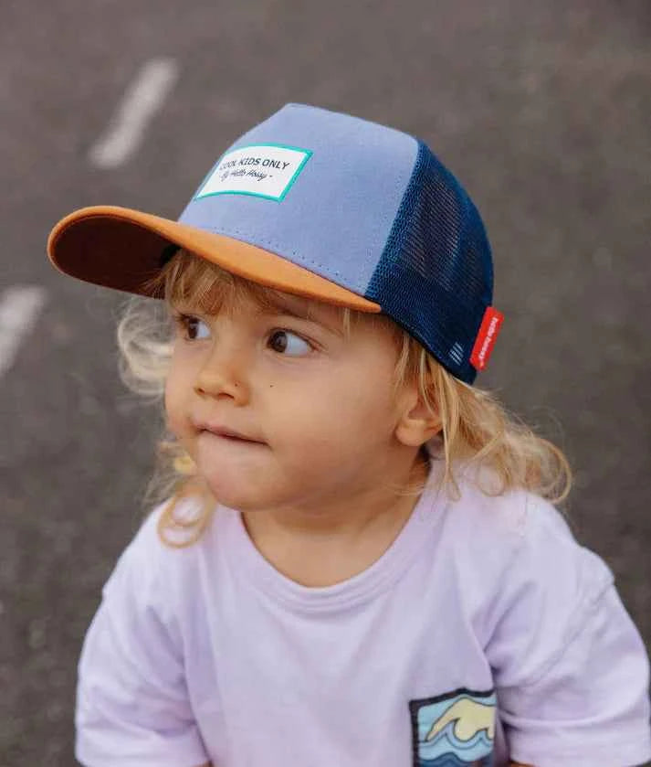 Hello Hossy | Pet Mini Marine