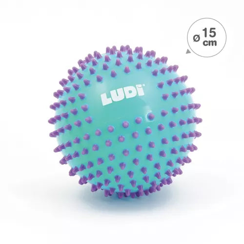 Ludi | Bal Sensorische Ballen Ø 15cm 1pcs