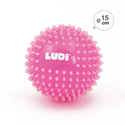 Ludi | Bal Sensorische Ballen Ø 15cm 1pcs