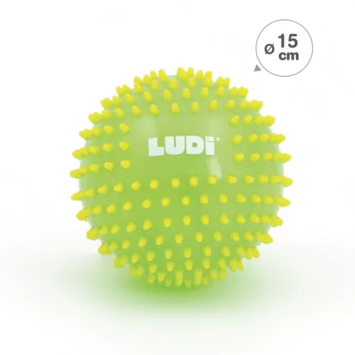Ludi | Bal Sensorische Ballen Ø 15cm 1pcs
