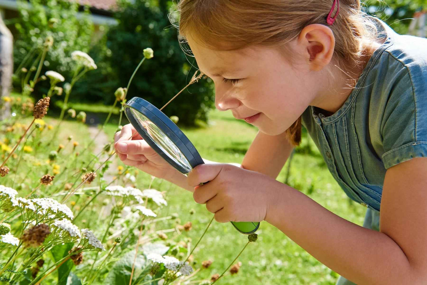Haba | Terra Kids Kinderloep