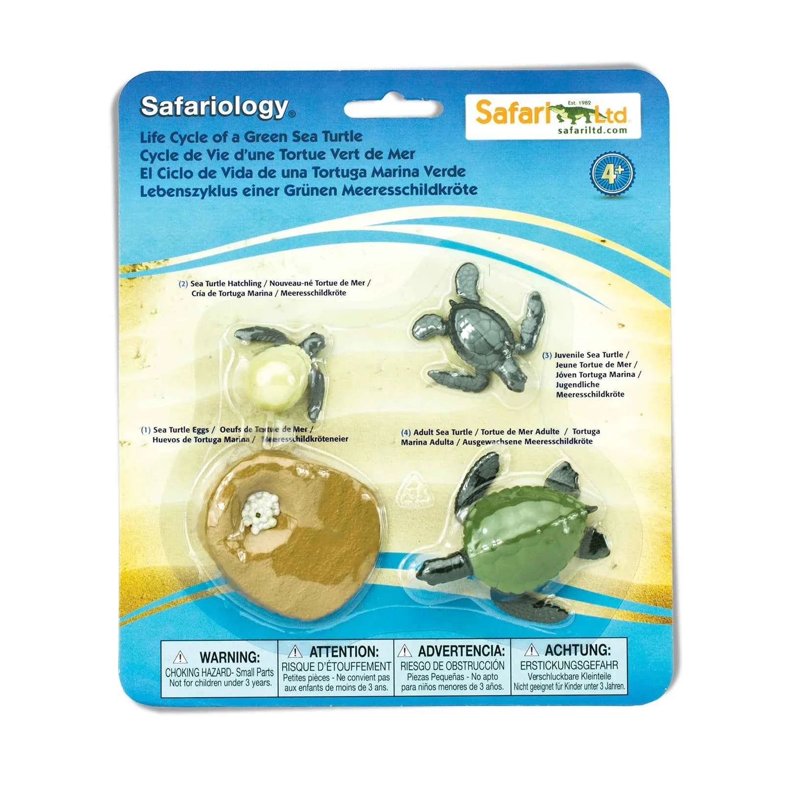 Safari Ltd. | Levenscyclus Van Een Groene Zeeschildpad