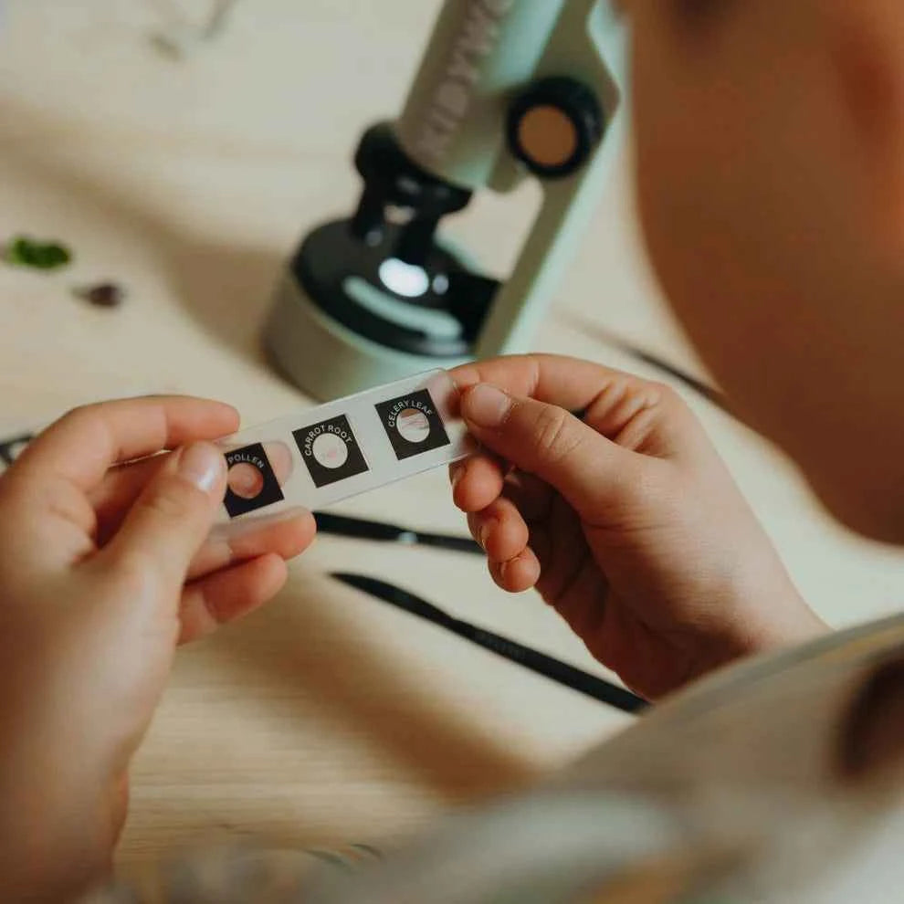Kidywolf | Kidymicroscope Draagbare Microscoop Groen