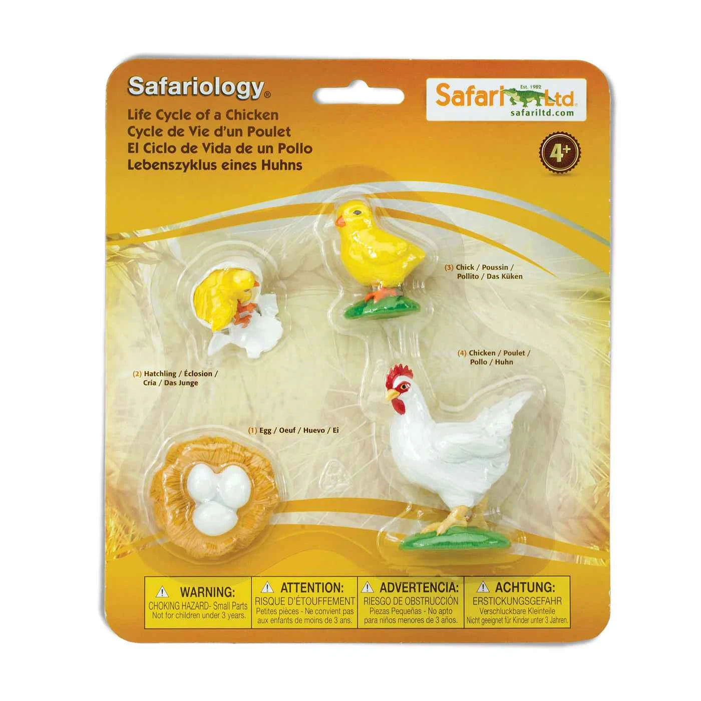 Safari Ltd. | Life Cycle of a Chicken