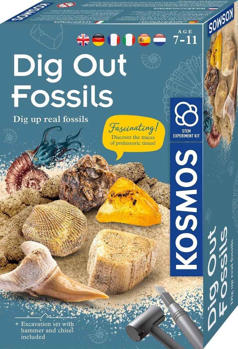 Kosmos | Dig Out Fossils