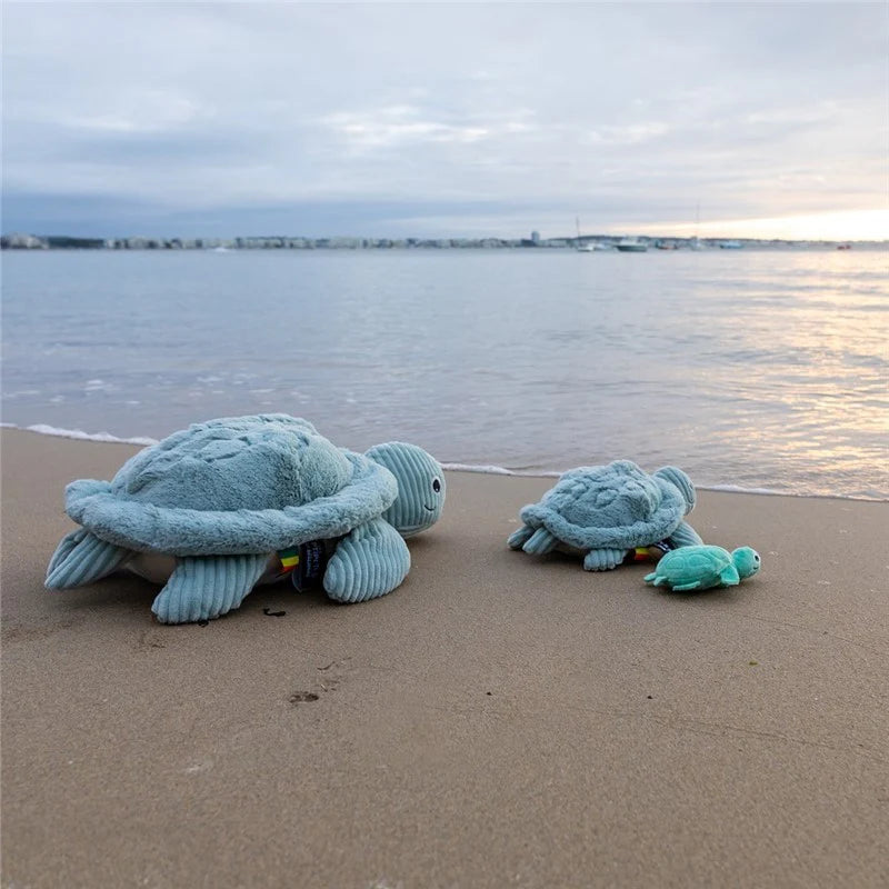 Les duéglingos | Les Ptipotos - Pluche Knuffel Sauvenou De Schildpad Moeder En Haar Mint Baby