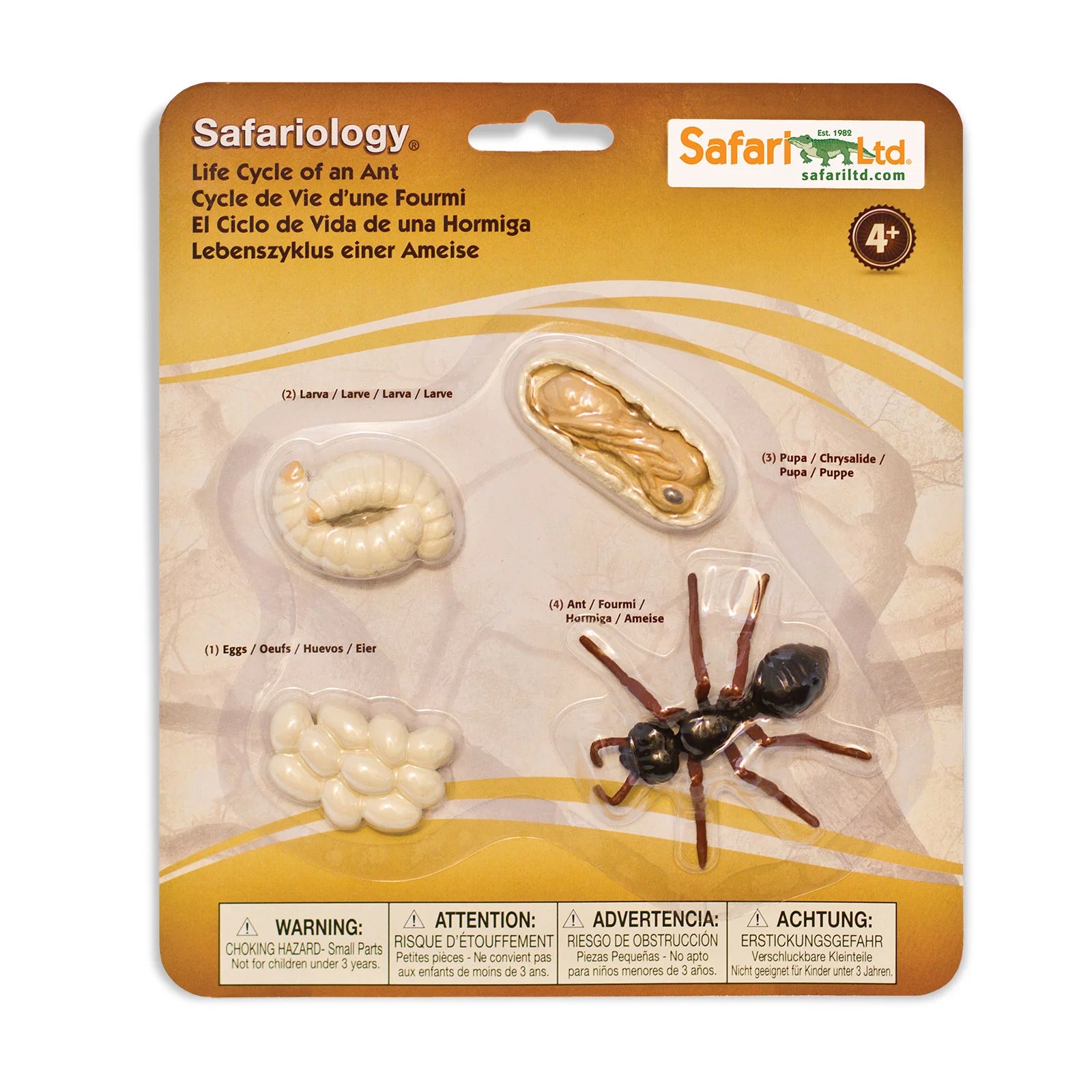 Safari Ltd. | Levenscyclus Van Een Mier