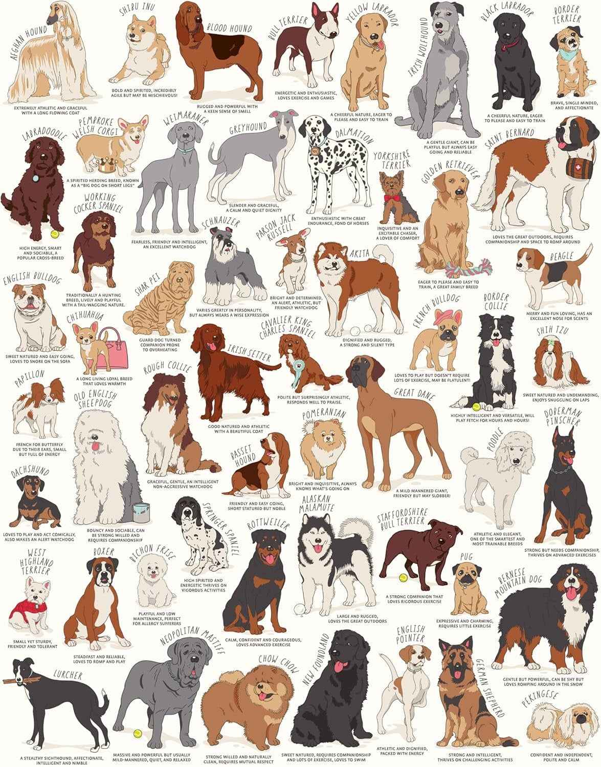 New Mags | Dog Lovers 1000-Piece Jigsaw Puzzle