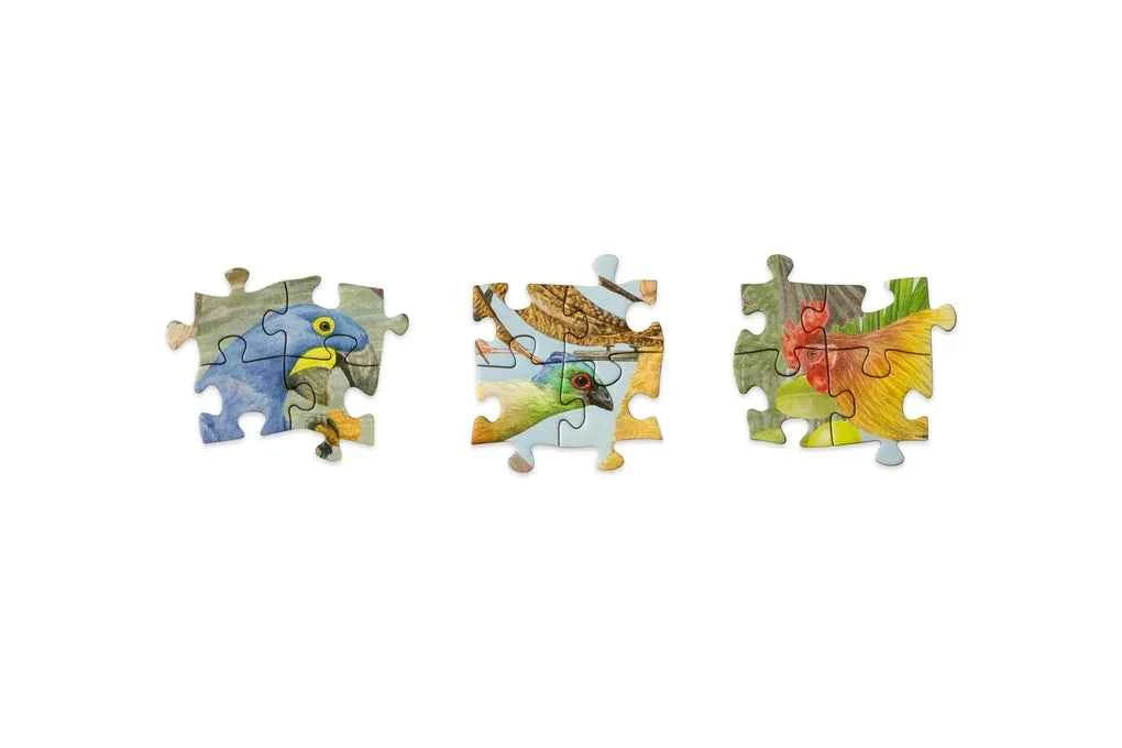 New Mags | Around the World in 50 Birds 1000-Piece Jigsaw Puzzle