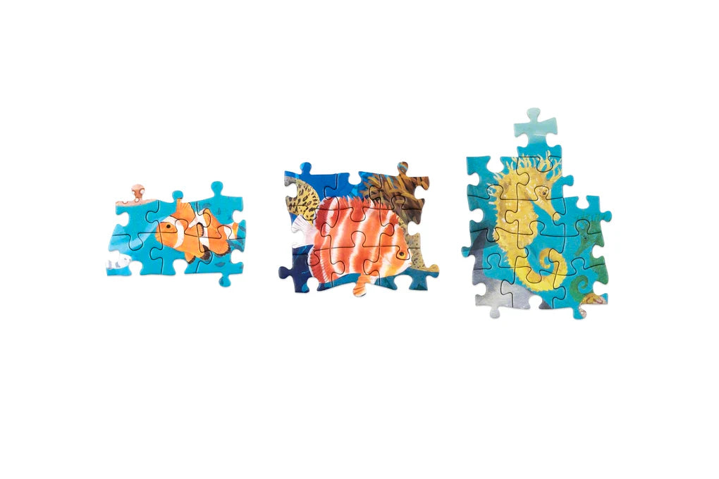 New Mags | Legpuzzel Rond De Wereld In 50 Vissen 1000 Stukjes