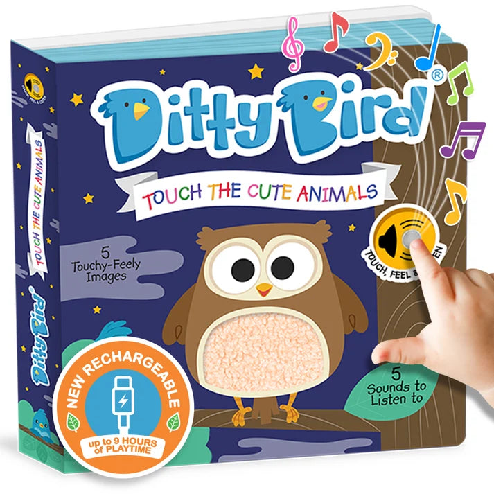 Ditty bird | cute animals