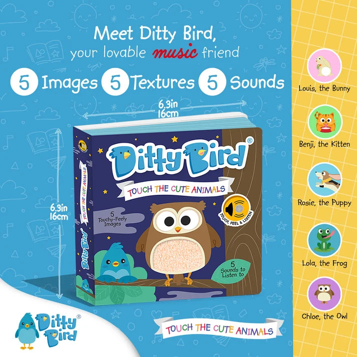 Ditty bird | cute animals