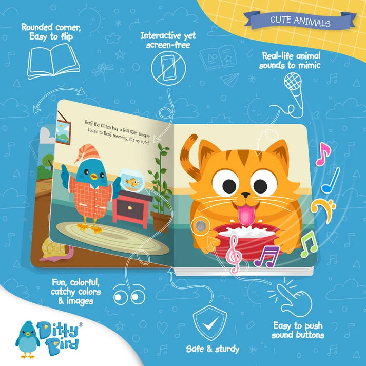 Ditty bird | cute animals