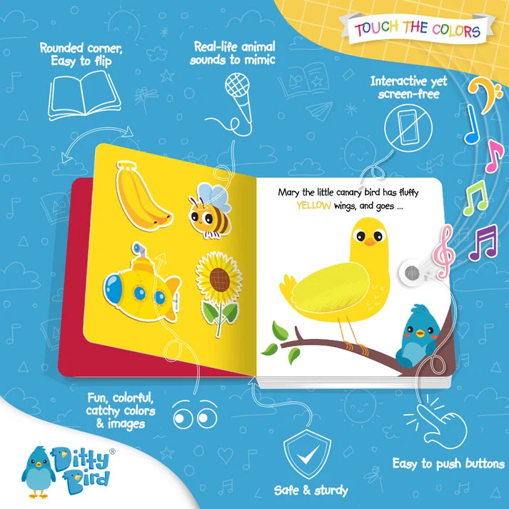Ditty bird | touch the colors
