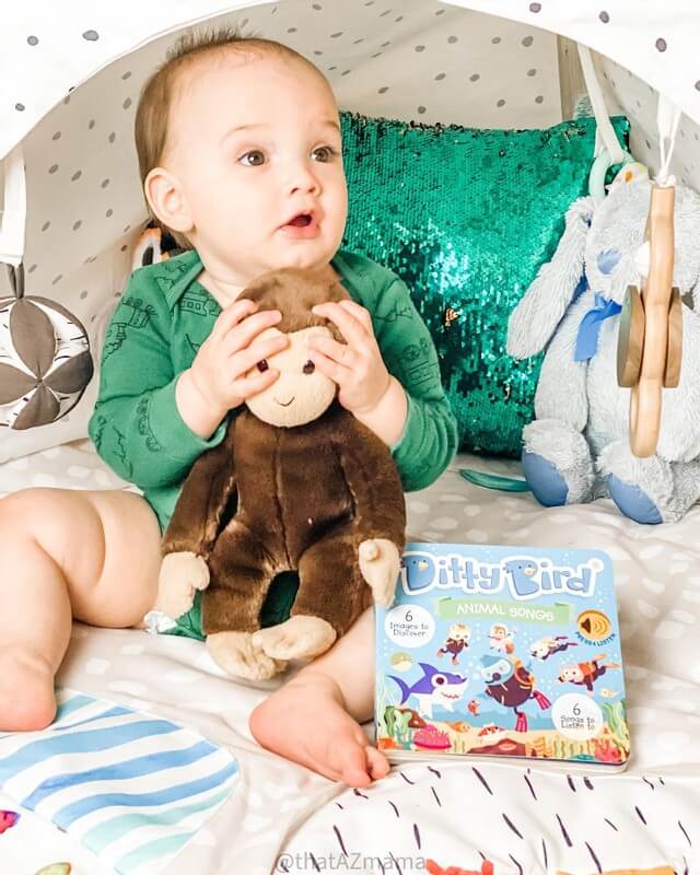 Ditty bird | animal songs