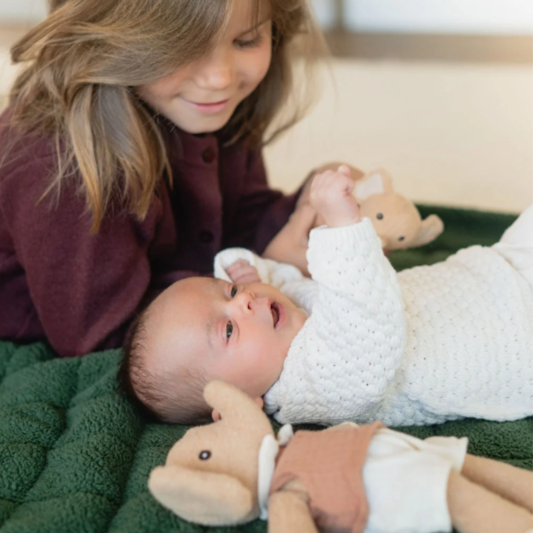 Play & Go |  Babyspeelkleed & reistas - evergreen teddy