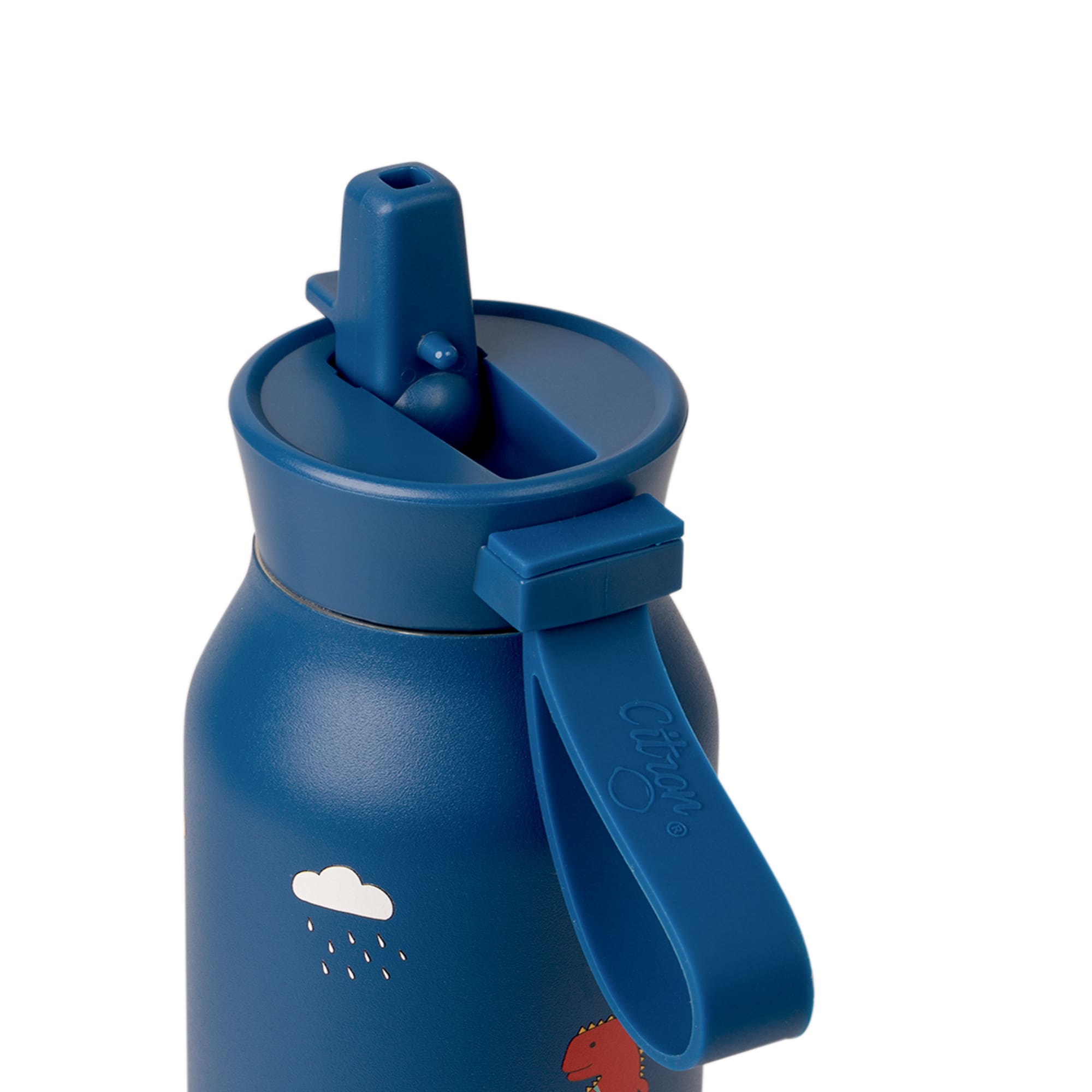 Citron | medium water bottle 500ml blue dino