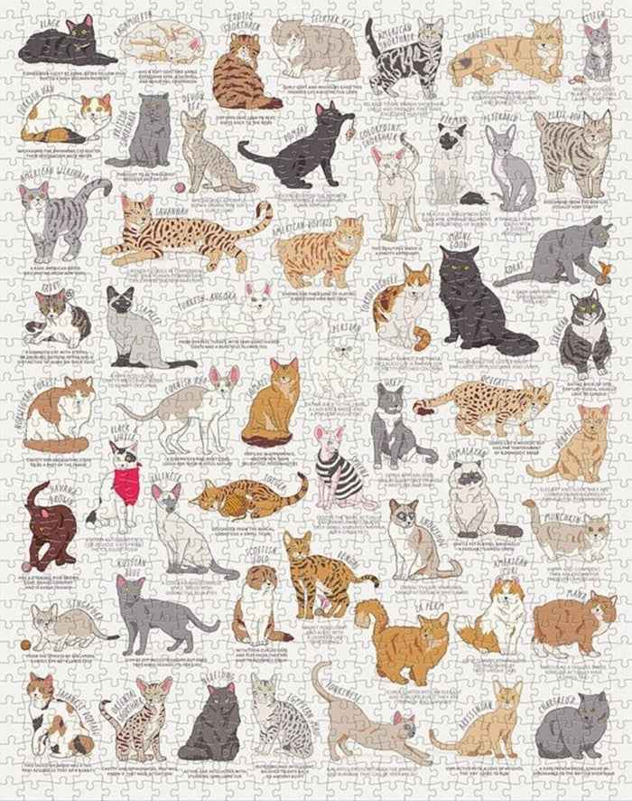 New Mags | Cat Lover 1000-Piece Jigsaw Puzzle