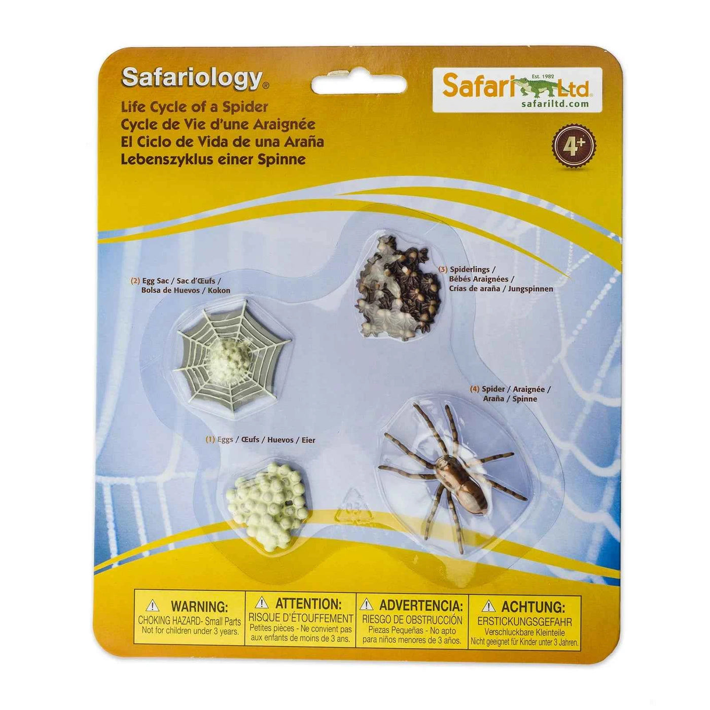 Safari Ltd. | Life Cycle of a Spider