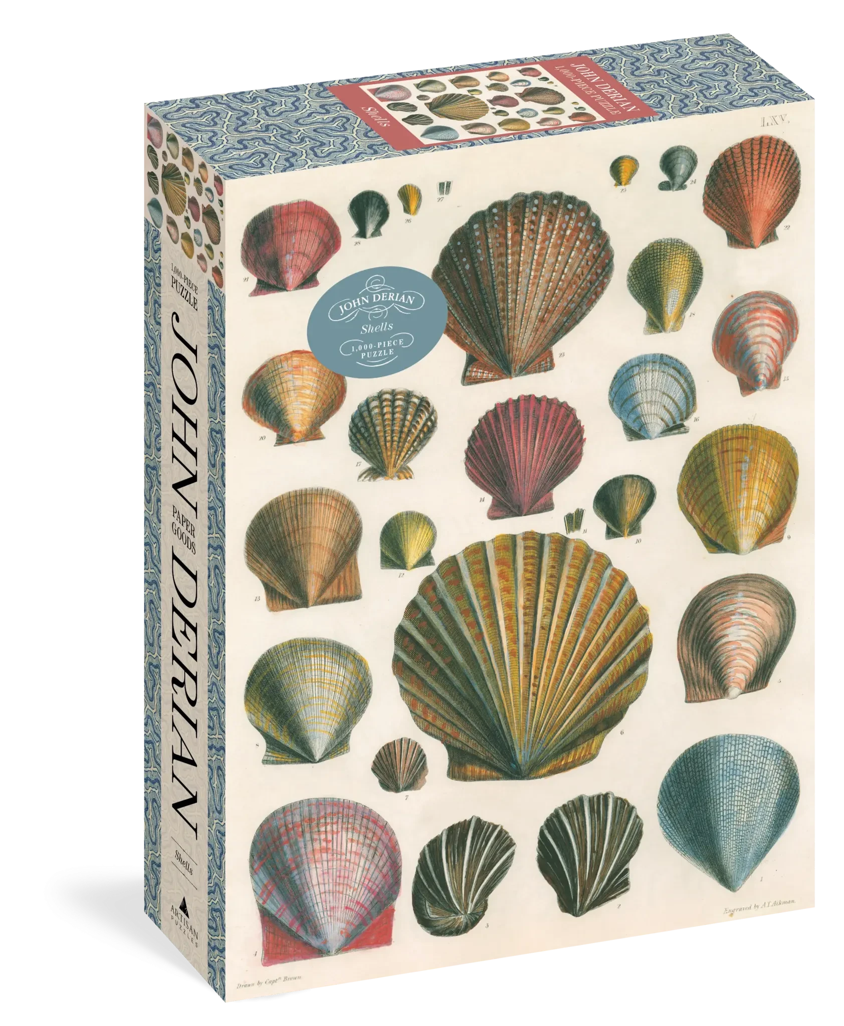 New Mags | Legpuzzel Schelpen John Derian 1000 Stukjes