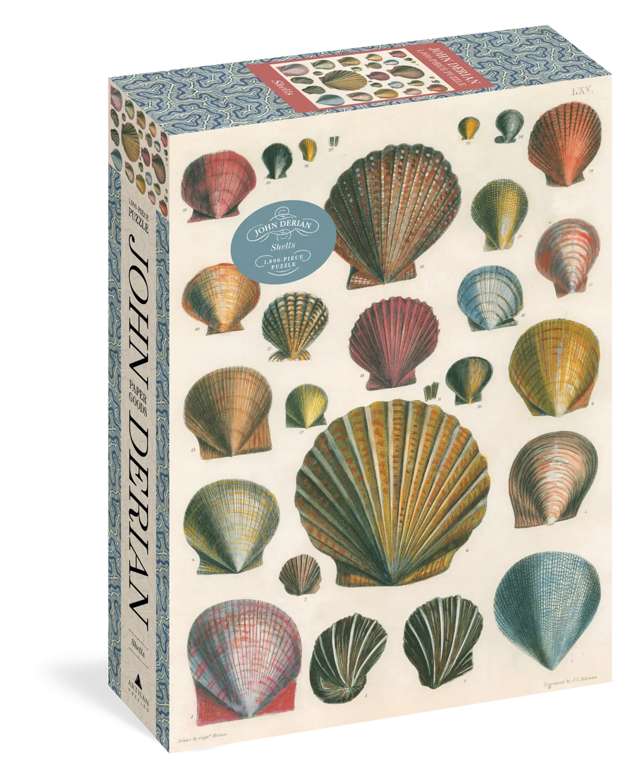 New Mags | Legpuzzel Schelpen John Derian 1000 Stukjes