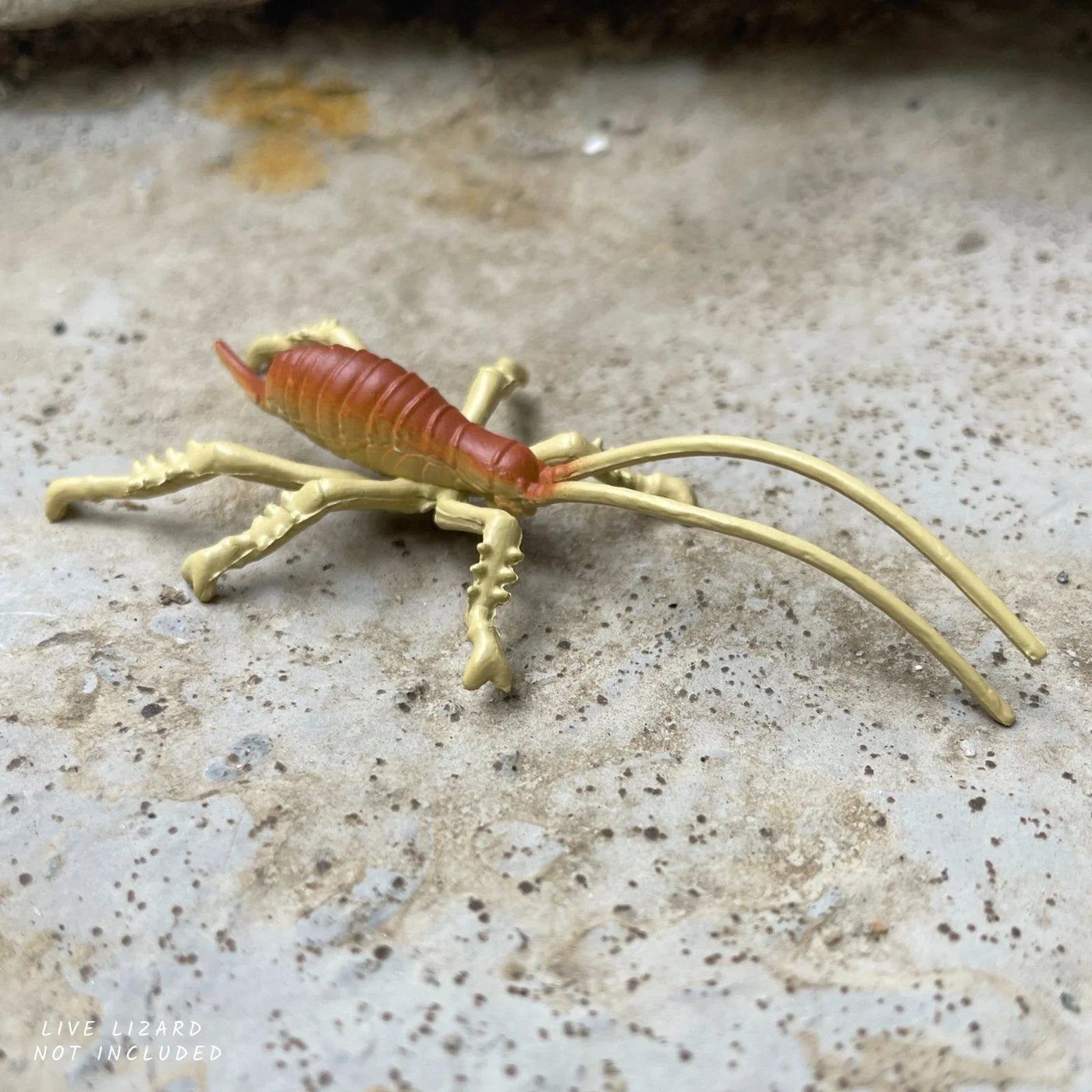 Safari Ltd. | Speelfiguren Australisch Continent