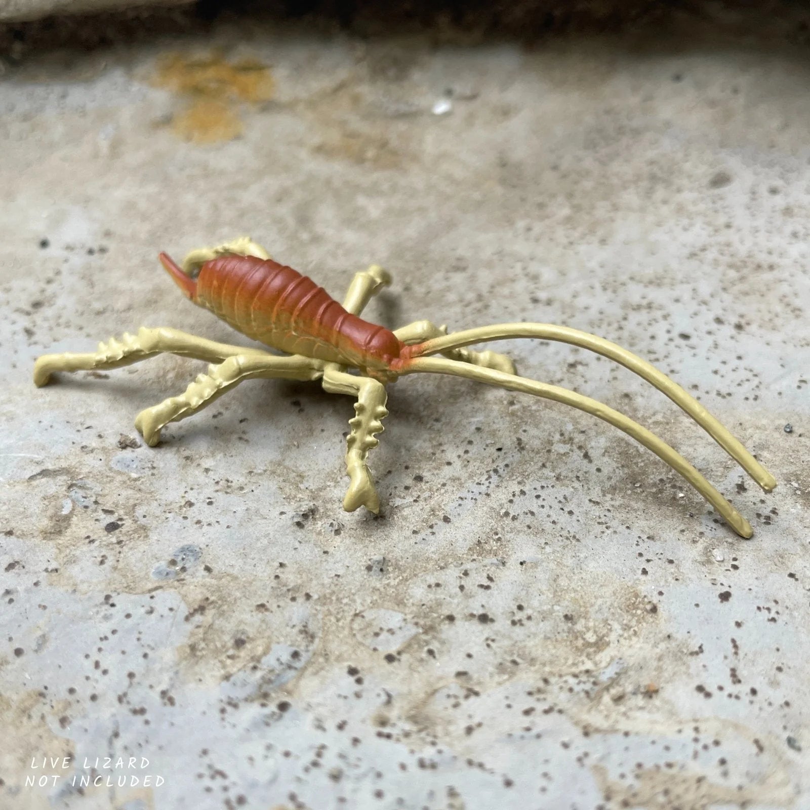 Safari Ltd. | Speelfiguren Australisch Continent