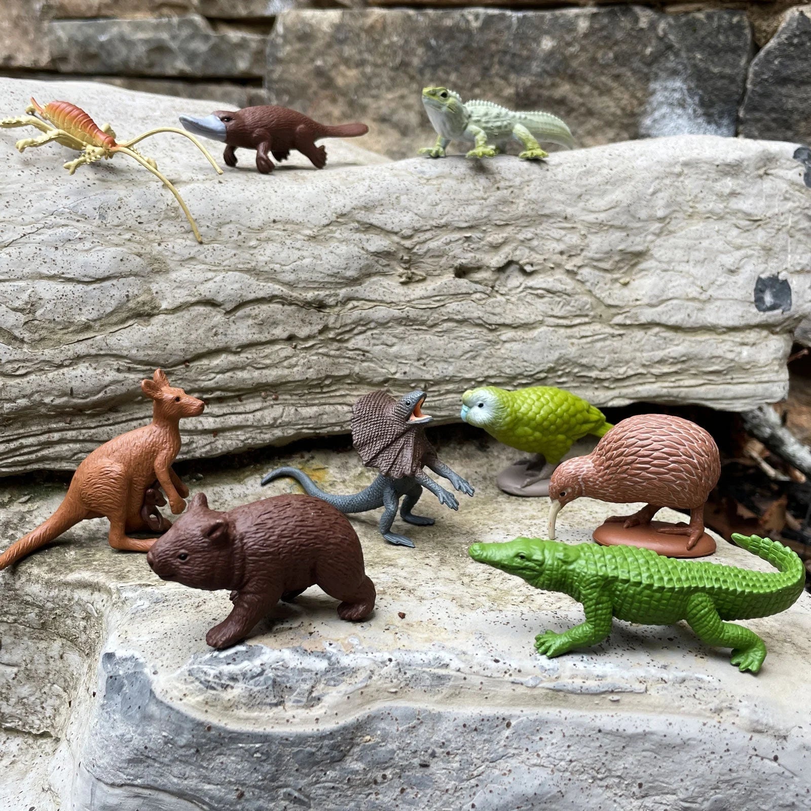 Safari Ltd. | Speelfiguren Australisch Continent