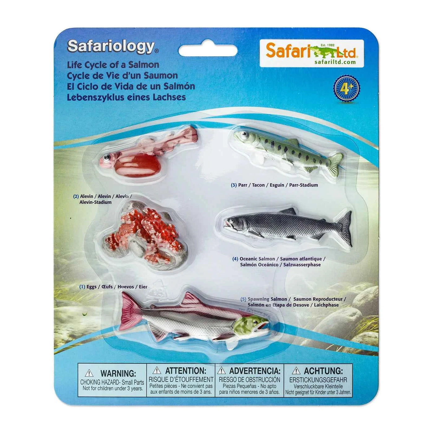 Safari Ltd. | Levenscyclus Van Een Zalm